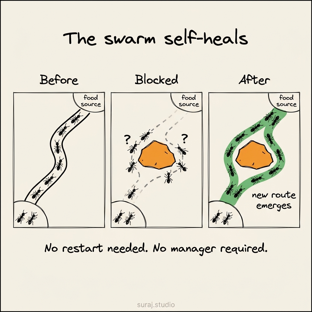 Self-healing in three steps: clear path, blocked path, new path. The swarm adapts with no central coordinator.